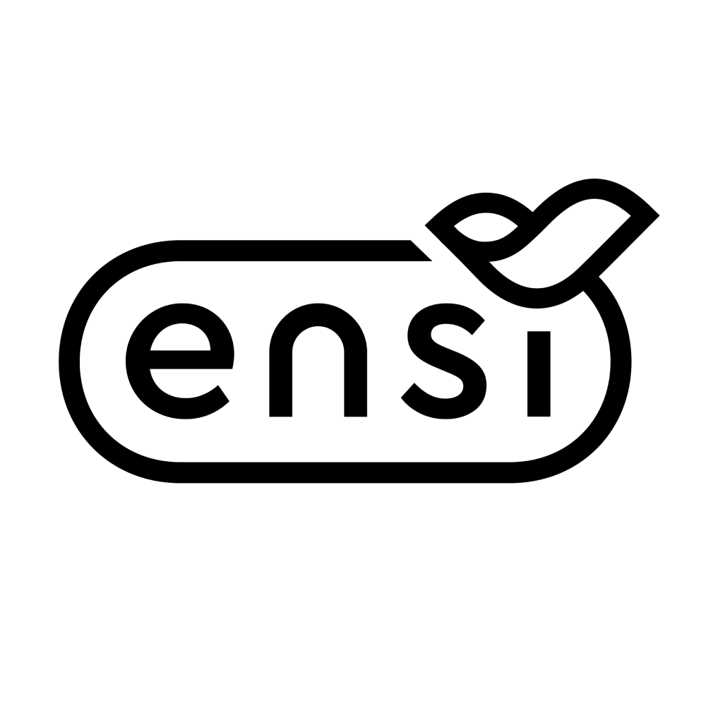 Ensi logo